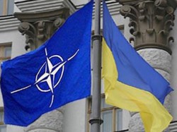 Киев пока не вступает в НАТО